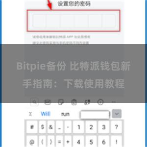 Bitpie备份 比特派钱包新手指南：下载使用教程