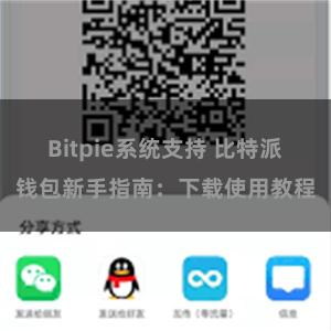 Bitpie系统支持 比特派钱包新手指南：下载使用教程