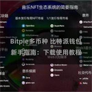 Bitpie多币种 比特派钱包新手指南：下载使用教程