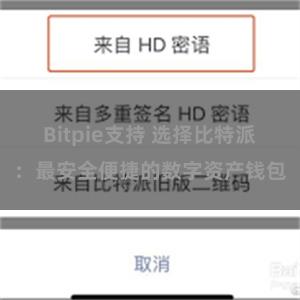 Bitpie支持 选择比特派：最安全便捷的数字资产钱包