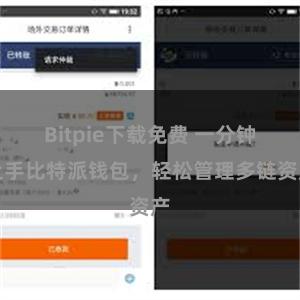 Bitpie下载免费 一分钟上手比特派钱包，轻松管理多链资产