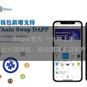 Bitpie官方 一分钟上手比特派钱包，轻松管理多链资产