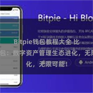 Bitpie钱包教程大全 比特派钱包：数字资产管理生态进化，无限可能！