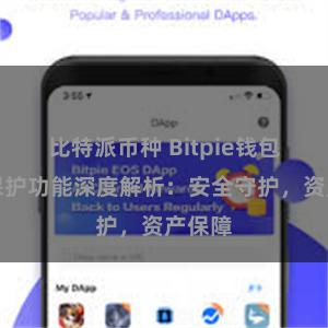 比特派币种 Bitpie钱包隐私保护功能深度解析：安全守护，资产保障