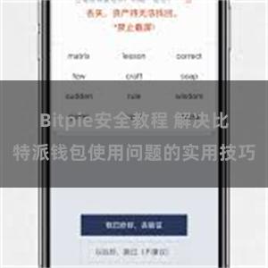 Bitpie安全教程 解决比特派钱包使用问题的实用技巧