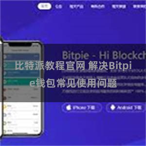 比特派教程官网 解决Bitpie钱包常见使用问题