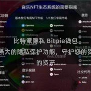 比特派隐私 Bitpie钱包：强大的隐私保护功能，守护您的资产