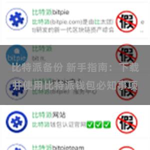 比特派备份 新手指南：下载并使用比特派钱包必知事项