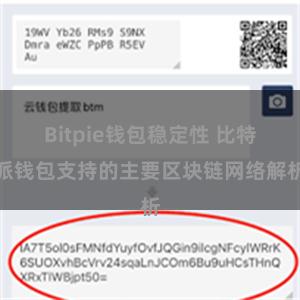 Bitpie钱包稳定性 比特派钱包支持的主要区块链网络解析