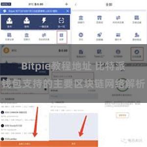 Bitpie教程地址 比特派钱包支持的主要区块链网络解析