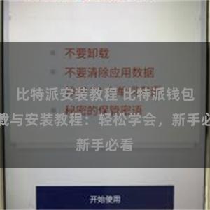 比特派安装教程 比特派钱包下载与安装教程：轻松学会，新手必看