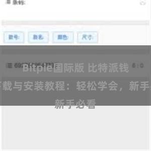 Bitpie国际版 比特派钱包下载与安装教程：轻松学会，新手必看