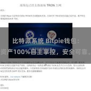 比特派系统 Bitpie钱包：资产100%自主掌控，安全可靠。