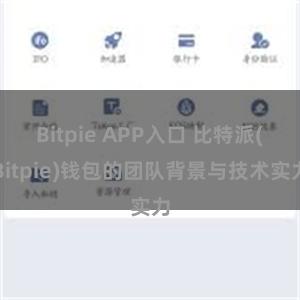 Bitpie APP入口 比特派(Bitpie)钱包的团队背景与技术实力