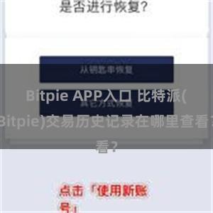 Bitpie APP入口 比特派(Bitpie)交易历史记录在哪里查看？