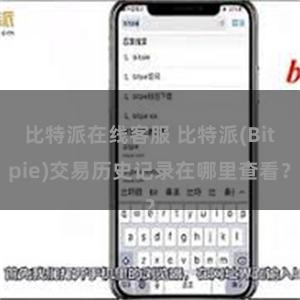 比特派在线客服 比特派(Bitpie)交易历史记录在哪里查看？