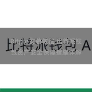 Bitpie安装教程 比特派钱包资产安全保障措施详解