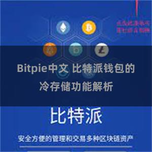 Bitpie中文 比特派钱包的冷存储功能解析