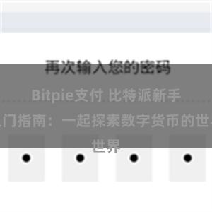 Bitpie支付 比特派新手入门指南：一起探索数字货币的世界
