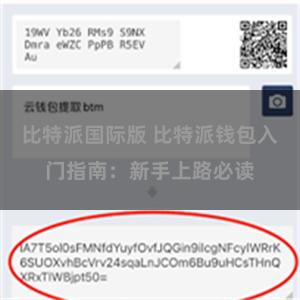 比特派国际版 比特派钱包入门指南：新手上路必读