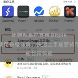 比特派系统支持 Bitpie钱包使用教程详解，快速上手加密货币管理
