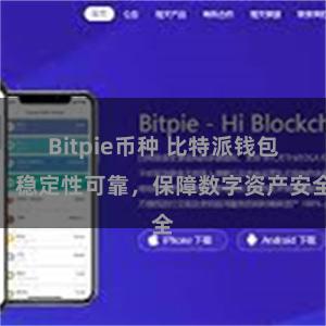 Bitpie币种 比特派钱包：稳定性可靠，保障数字资产安全
